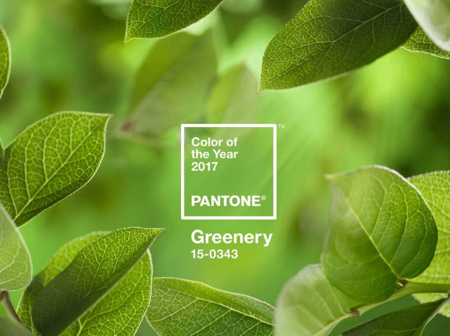 Pantone Colour of the Year 2017
