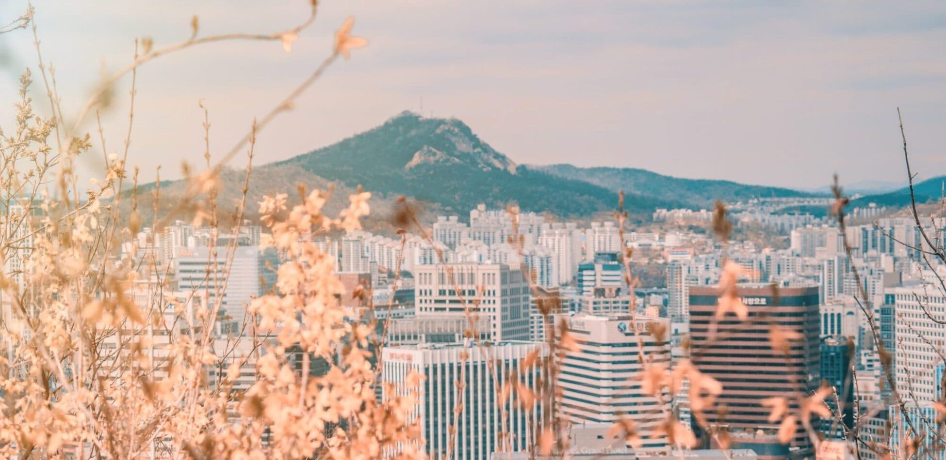 Top 5 Beauty Spots