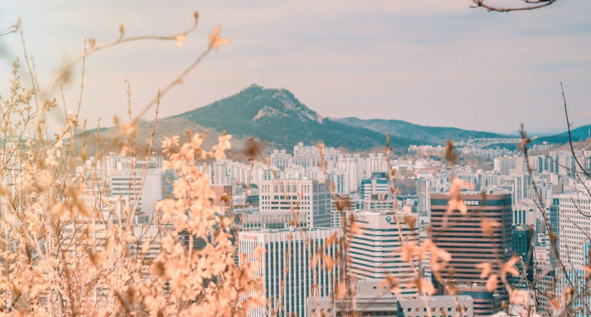 Top 5 Beauty Spots