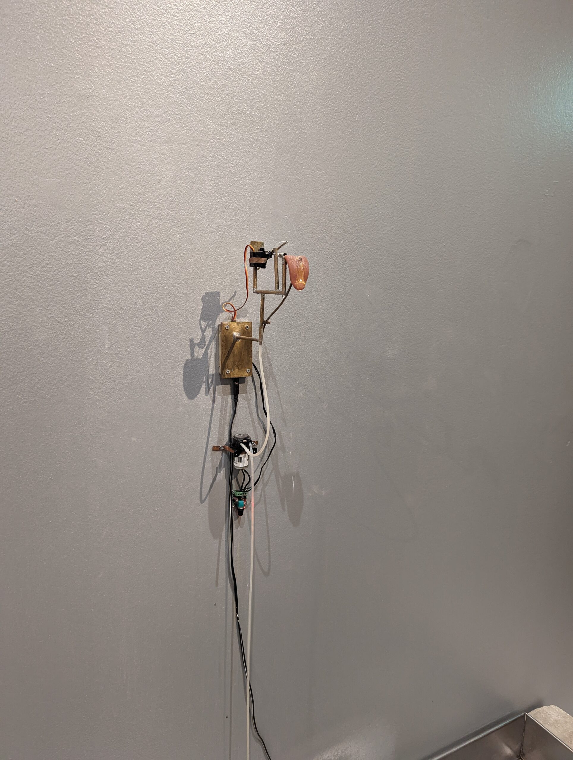 ASMR exhibition