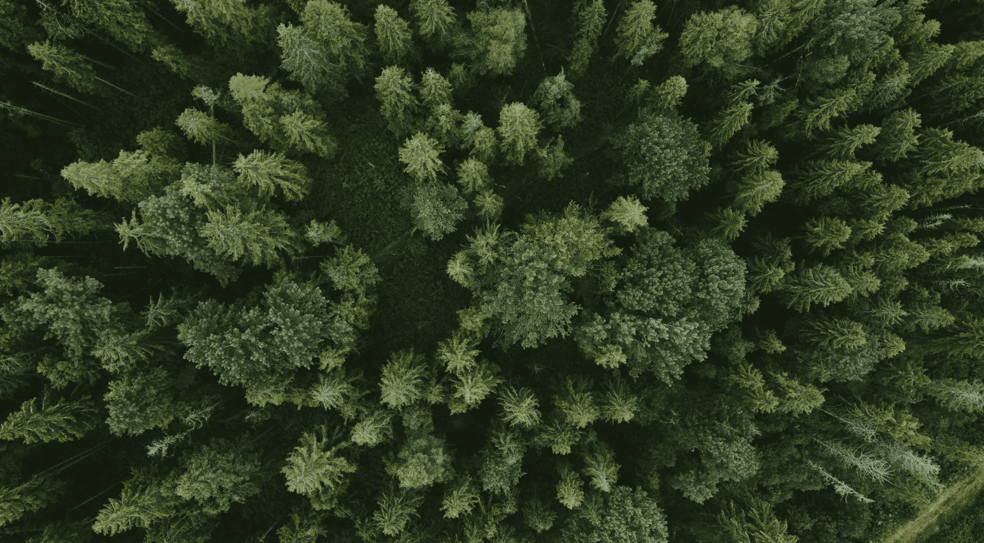 FSC®