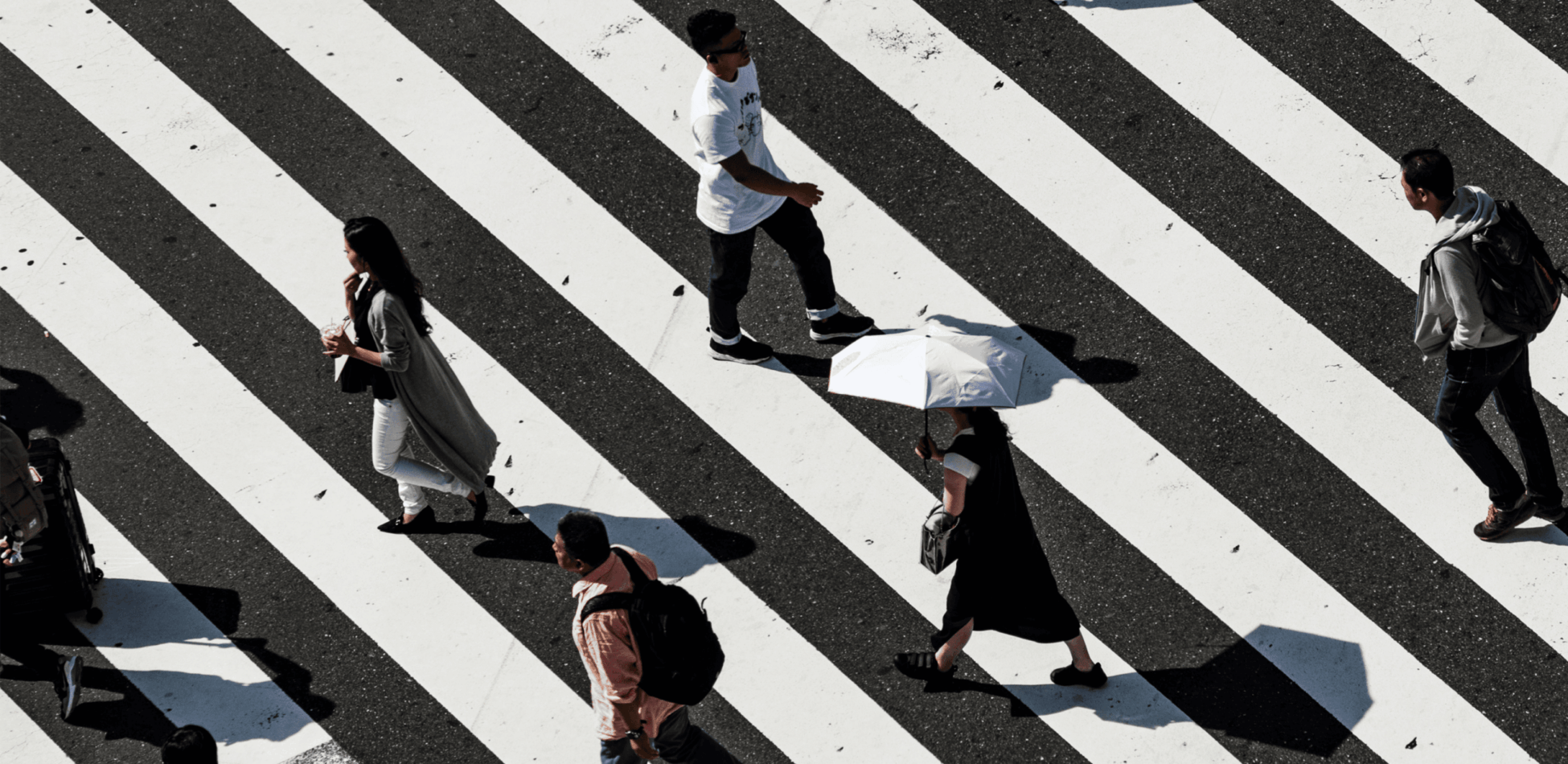 Subvert/Conform