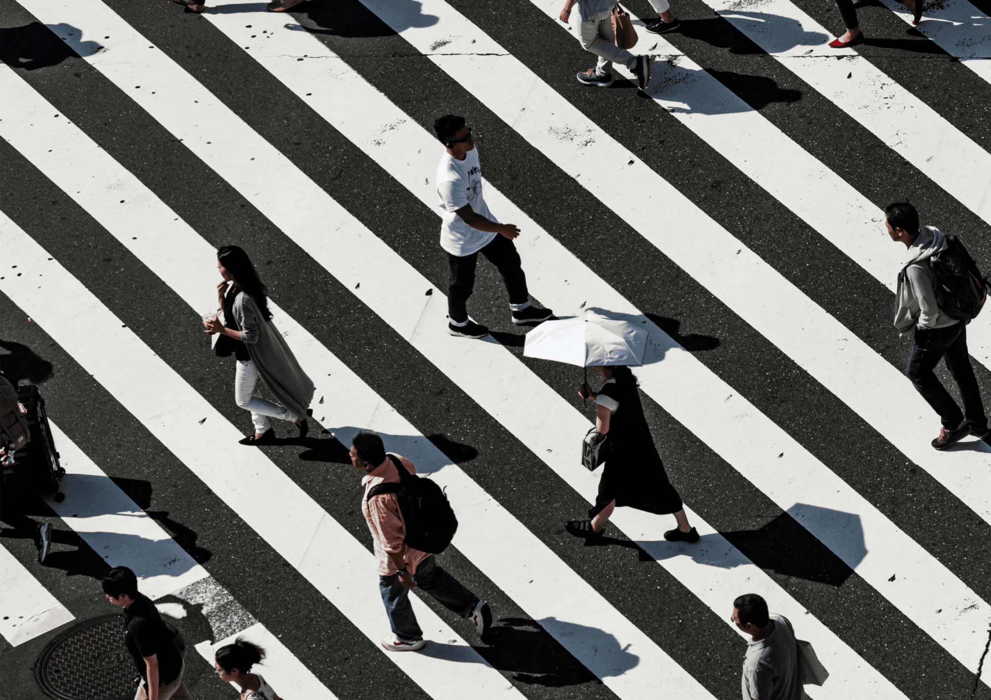 Subvert/Conform